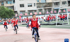 开云:这所城郊小学，遍地“长满”了体育器材——中小学“以体育人”成效观察之一